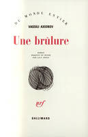 Une brûlure, roman