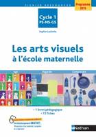 Les arts visuels à l'école maternelle, Agir, regarder, comprendre