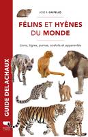 Félins et hyènes du monde, Lions, tigres, pumas, ocelots et apparentés