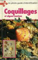 Coquillages et algues amrines