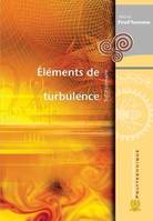 Eléments de turbulence solutionnaire