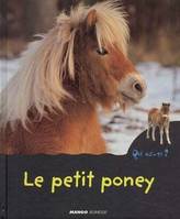 Le petit poney