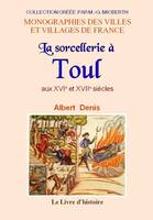 La sorcellerie à Toul aux XVIe et XVIIe siècles, Étude historique