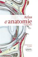 Atlas d'anatomie