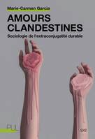 Amours clandestines, Sociologie de l’extraconjugalité durable