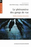 Le phénomène des gangs de rue, Théories, évaluations, interventions