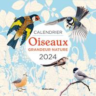 Les millésimes Calendrier mural Oiseaux grandeur nature 2024