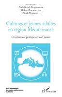Cultures et jeunes adultes en région Méditerranée, Circulations, pratiques et <em>soft power</em>