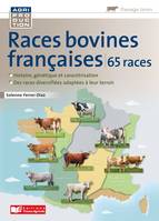 RACES BOVINES FRANCAISES, 65 races