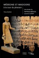 Médecins et magiciens à la cour du pharaon, Une étude du papyrus médical louvre e 32847