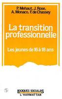 La transition professionnelle, Les jeunes de 16 à 18 ans