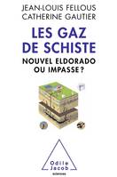 Les Gaz de schiste, Nouvel eldorado ou impasse ?