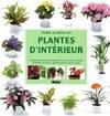 Choisir et cultiver ses plantes d'intérieur