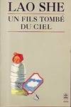 Un fils tombe du ciel