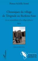 Chroniques du village de Tengnule au Burkina Faso, La vie extraordinaire d'un village ordinaire - Récit