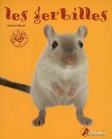 GERBILLES (LES)