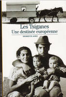 Les Tsiganes, Une destinée européenne