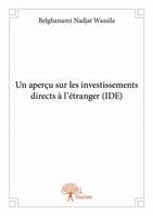 Un aperçu sur les investissements directs à l’étranger (IDE)