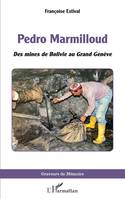 Pedro Marmilloud, Des mines de Bolivie au Grand Genève