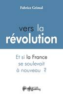 VERS LA REVOLUTION, Et si la France se soulevait à nouveau ?