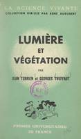 Lumière et végétation