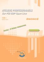 Ateliers professionnels T1 - Enoncé, Sur PGI EBP