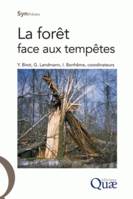 La forêt face aux tempêtes