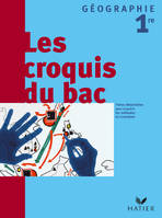 Géographie 1re - Croquis du Bac, éd. 2004