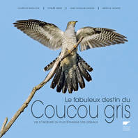 Oiseaux Le Fabuleux destin du coucou gris, Vie et murs du plus étrange des oiseaux