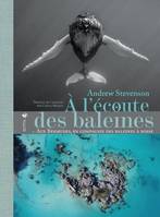 À l'écoute des baleines, Aux bermudes, en compagnie des baleines à bosse