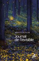 Journal de l'invisible, Exercices à l'usage de l'âme