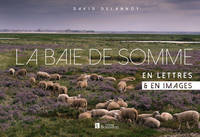 La baie de Somme - en lettres & en images