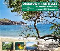 OISEAUX DES ANTILLES