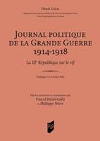 Journal politique de la grande guerre 1914-1918 (coffret), La IIIe république sur le vif