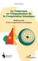 Le Cameroun et l'Organisation de la Coopération Islamique, Radioscopie d'une coopération stratégique