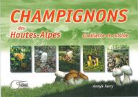 Champignons des Hautes-Alpes, Cueillette et cuisine