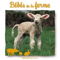 BEBES DE LA FERME