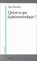 Qu'est ce que la phénoménologie ?