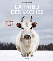 La tribu des vaches, Des aurochs aux vaches sacrées