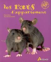 RATS D'APPARTEMENT
