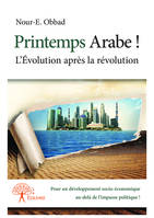 Printemps Arabe !, L’Évolution après la révolution