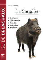 Mammifères Le Sanglier