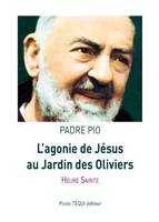 L'agonie de Jésus au Jardin des Oliviers, Heure sainte