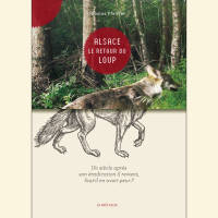 Alsace le retour du loup, un siècle après son éradication il revient, faut-il en avoir peur ?