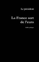 La France sort de l'euro, Thriller politique