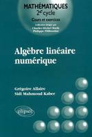 Algèbre linéaire numérique - Cours et exercices