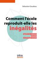 Comment l'école reproduit-elle les inégalités ?, Égalité des chances, réussite, psychologie sociale