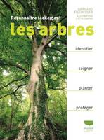 Reconnaître facilement les arbres