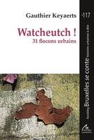 Watcheutch !, 31 flocons urbains