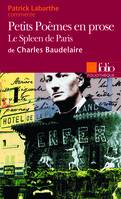 Petits Poèmes en prose de Charles Baudelaire (Essai et dossier)